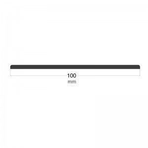 Banda 100